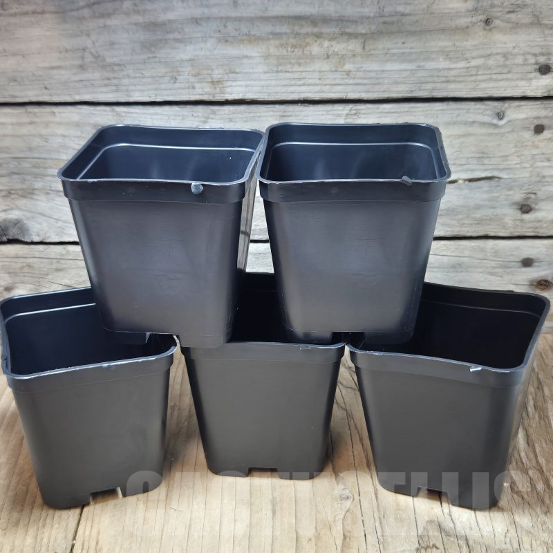 PT 02 Комплект от 5 саксии 7x7x7,5cm