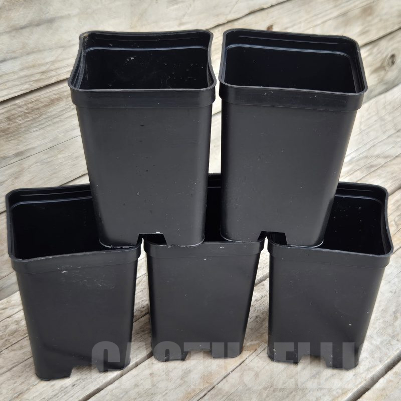 PT 03 Комплект от 5 саксии 7x7x10cm