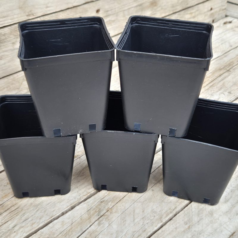 PT 04 Комплект от 5 саксии 9x9x10cm