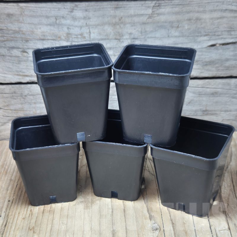 PT 01 Set of 5 pots 5x5x6cm